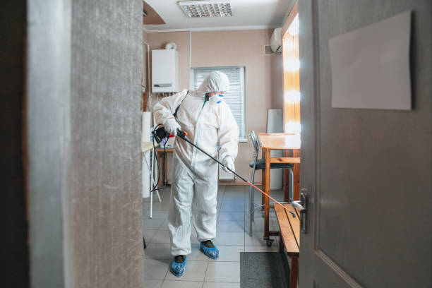 Mold Documentation for Insurance Claims in Paoli, PA